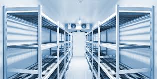 The Complete Guide to Frozen Storage for Perishable Goods